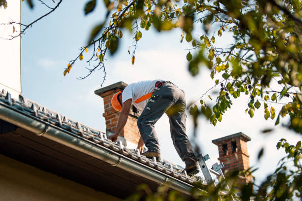 Best Emergency Roof Repair  in Stearns, KY